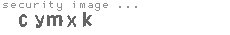 security image