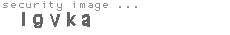security image