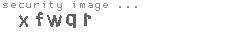 security image