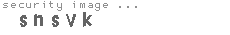 security image