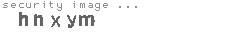 security image