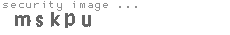 security image