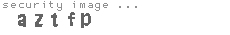 security image