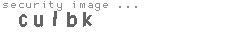 security image