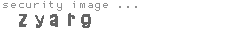 security image