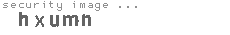 security image