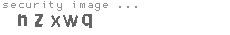 security image