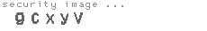security image