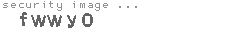 security image