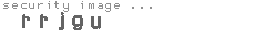 security image