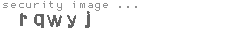 security image