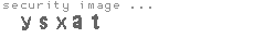 security image