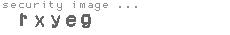 security image