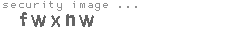 security image