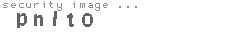 security image