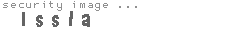 security image