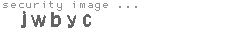 security image