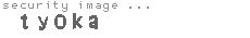 security image