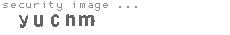security image