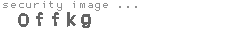 security image