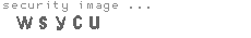 security image
