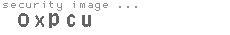 security image