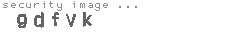 security image