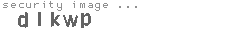 security image