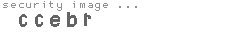 security image