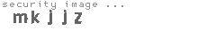 security image