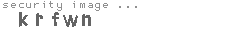 security image