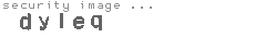 security image