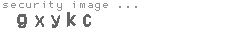 security image