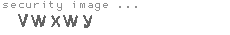 security image