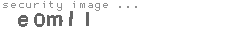 security image
