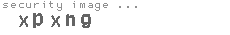 security image