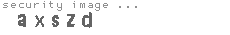 security image