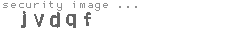 security image