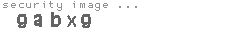 security image