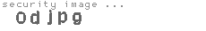 security image