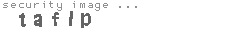 security image