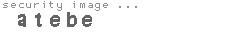 security image