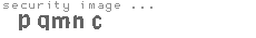 security image