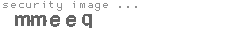 security image
