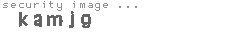 security image