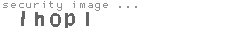 security image