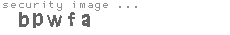 security image