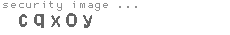 security image