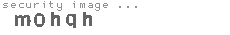 security image