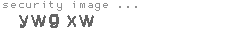 security image